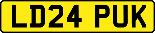 LD24PUK