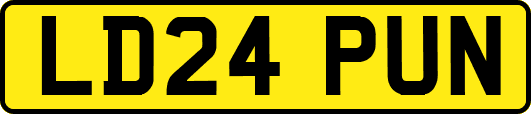 LD24PUN