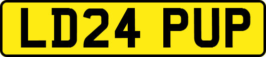 LD24PUP