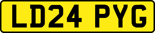 LD24PYG