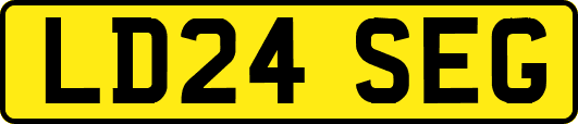 LD24SEG