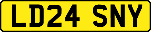 LD24SNY