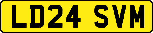LD24SVM