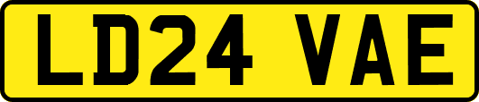 LD24VAE