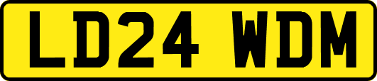 LD24WDM