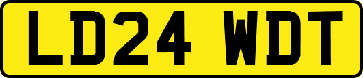 LD24WDT