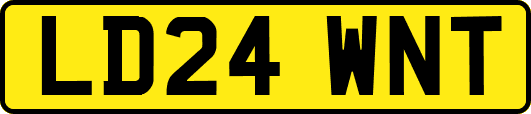 LD24WNT