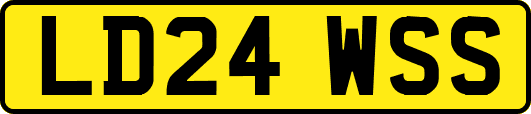 LD24WSS