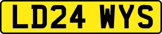 LD24WYS