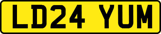 LD24YUM