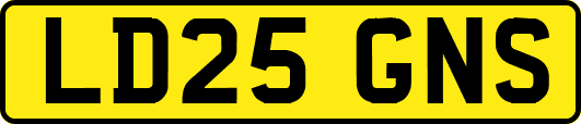 LD25GNS