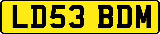 LD53BDM