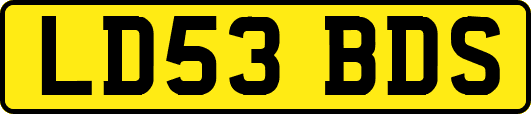 LD53BDS