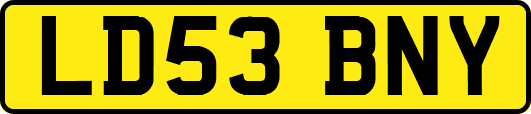 LD53BNY