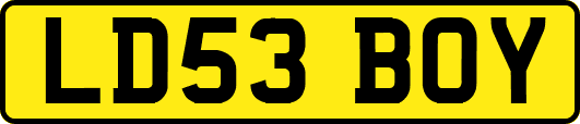 LD53BOY