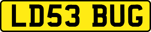 LD53BUG