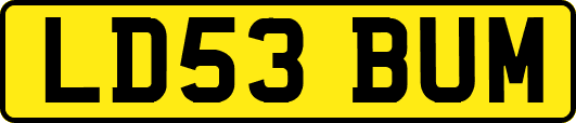 LD53BUM