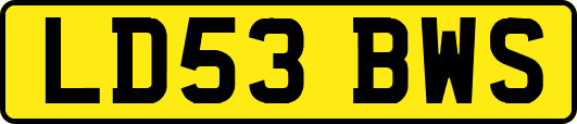 LD53BWS