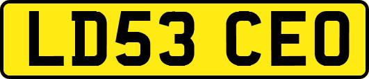 LD53CEO