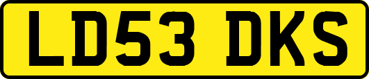 LD53DKS