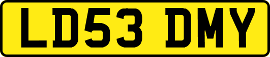 LD53DMY