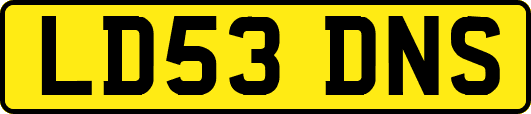 LD53DNS