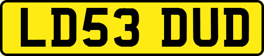 LD53DUD