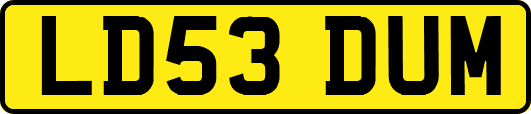 LD53DUM