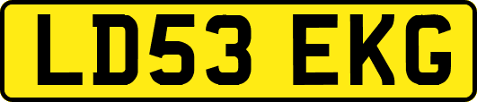 LD53EKG