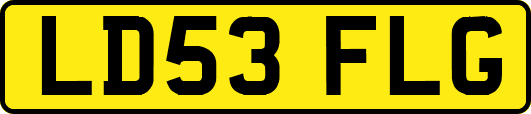 LD53FLG