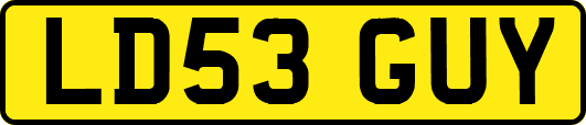 LD53GUY