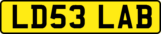 LD53LAB