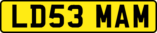 LD53MAM