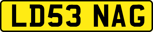 LD53NAG