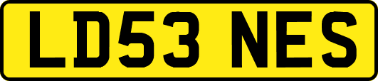 LD53NES