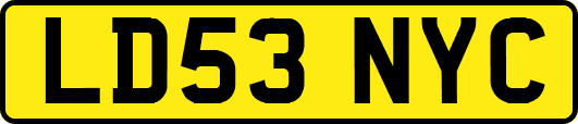 LD53NYC