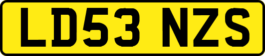 LD53NZS