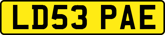 LD53PAE