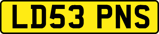 LD53PNS