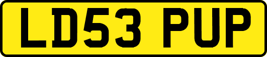 LD53PUP