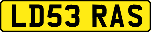 LD53RAS