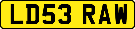 LD53RAW