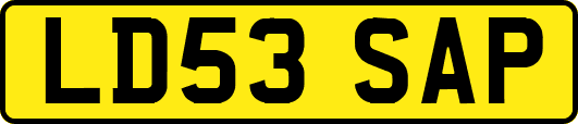 LD53SAP