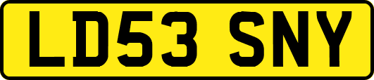 LD53SNY