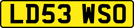 LD53WSO