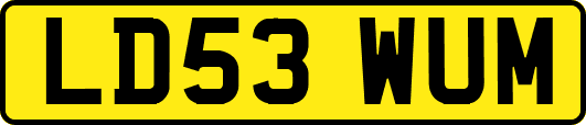 LD53WUM