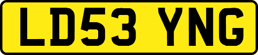 LD53YNG
