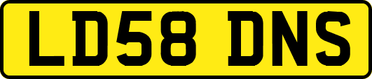 LD58DNS