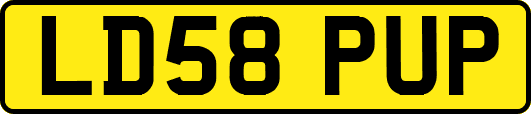 LD58PUP