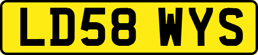 LD58WYS